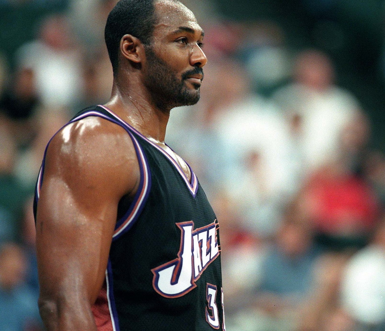 添了不少看 添了不少看